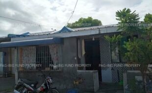 fil1520220210541