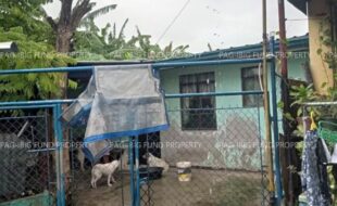 fil1520220210635