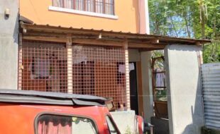 fil1520220531156