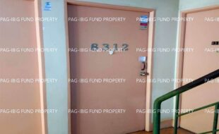 fil1520220805266