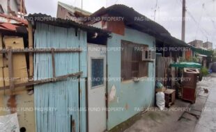 fil1520220809063