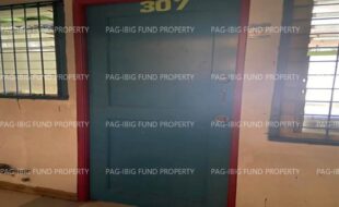 fil1520221005226