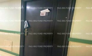 fil1520221110072
