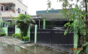 fil1520221110950