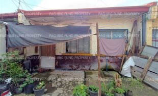 fil1520221112087