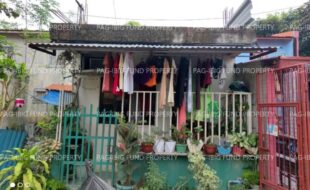 fil1520221207534
