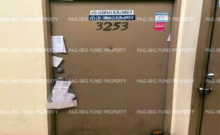 fil1520230217003