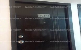 fil1520230221055