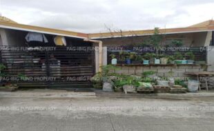 fil1520230302431