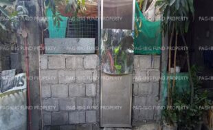 fil1520230310018