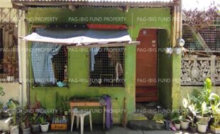 fil1520230701236