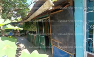 fil1520230810359