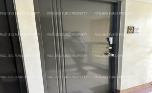 fil1520230911076