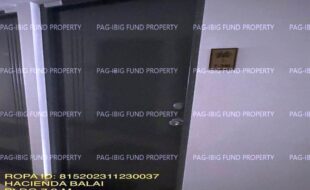 fil1520231214037