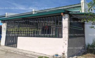 fil1520240104105