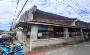 fil1520240129293