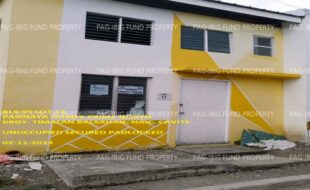 fil1520240212158