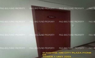 fil1520240217049