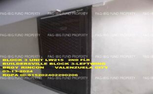 fil1520240314394