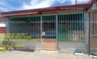 fil1520240408416