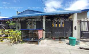 fil1520240411075