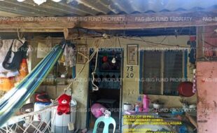 fil1520240502117