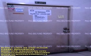 fil1520240604195