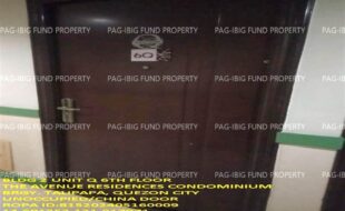 fil1520240606018