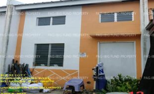 fil1520240611268