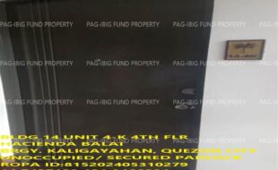 fil1520240624321