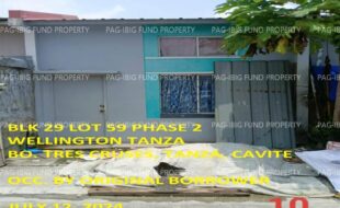 fil1520240715618