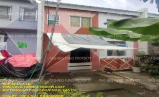 fil1520240717312