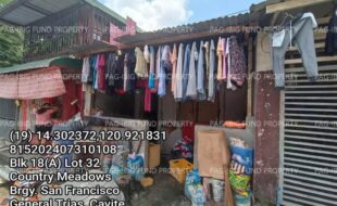 fil1520240806424