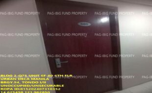 fil1520240812226