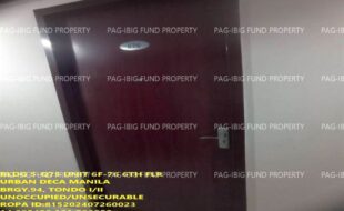 fil1520240812255
