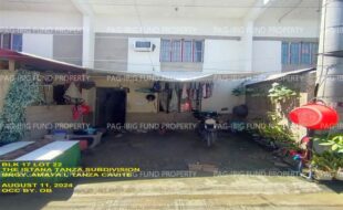 fil1520240812258