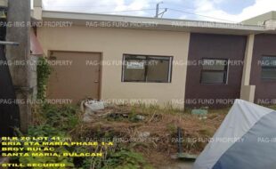 fil1520240814272