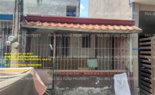 fil1520240814829