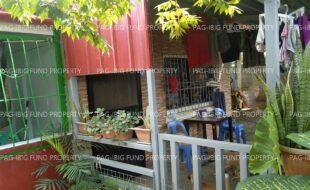 fil1520240815471