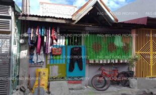 fil1520240815651