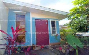 fil1520240816198