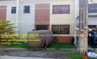 fil1520240816514