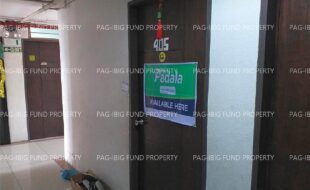 fil1520240817127