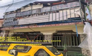 fil1520240820322