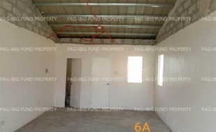 fil1520240822610
