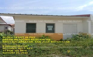 fil1520240822612