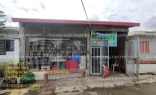 fil1520240829349