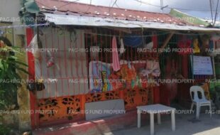 fil1520240829388