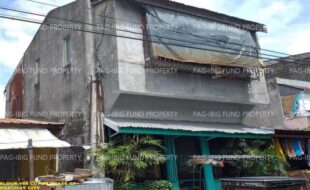 fil1520240831055