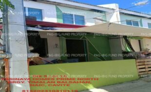 fil1520240831169